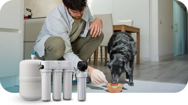 Technician testing water quality with a dog nearby in a laboratory setting.